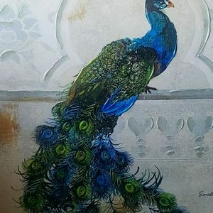 Peacock Canvas Art